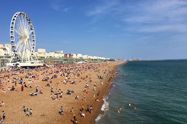 Brighton se Destaca em Inovações Sustentáveis e Atrai Atenção do Mundo em 2024